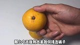 橘子大量上市，教你挑选橘子诀窍！包你买到又甜又好吃橘子！