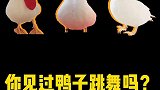 我家汪汪特有种谁还没点才艺啊？
