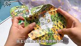 捏解压胶囊爆爆球，还有指尖宠物，萌萌的软软的捏爆太过瘾了