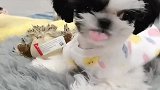 我性不性感