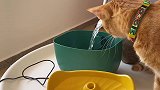 梦寐以求的猫咪饮水器终于安排上了