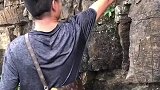 景区男子干“坏事”，网友评论：造孽啊