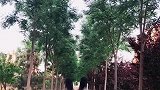 还记得那个为你哭红双眼的女孩吗？