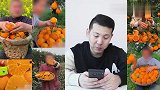 小浪哥试吃“不知火丑橘”这个橘子好丑啊，但为啥能放这么久呢？