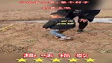 小伙子太狠，整个村子的霸王吧