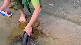 家电清洁的小妙招