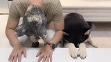 动作同步没有到底谁模仿谁