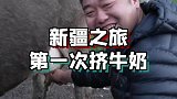 原来挤牛奶是这样婶儿的