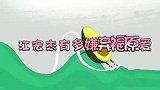 江宏杰多嫌弃福原爱？公开爆料福原爱致命缺点，没几个男人受得了