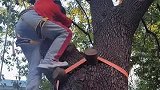 爬树成了体育课，一小学推出爬树课，全校每名学生都要参与