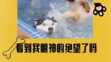 看到我眼神中的绝望了吗！