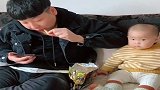 爸爸吃零食，馋的宝宝忍不住下手了，看完憋住别笑！