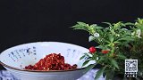 清·辣椒酱丨从胡椒到番椒再到唐辛子，辣椒这些年是怎么被剁成酱的？