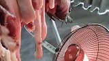 第二茬腊肉遇下雨加南风天，这方法行不