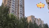 每到周末就陪着主人加班的萌萌狗狗，莫非就是传说中的加班狗
