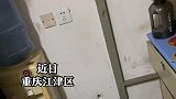 重庆，男生宿舍里发现了一只蜘蛛，拖鞋拍歪后，可吓坏了众人
