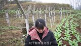 丫丫今天炖了整只鸭子，抱着鸭子啃，大口吃肉大碗喝汤，吃着过瘾