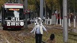 有轨电车高颜值路段，成打卡圣地