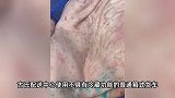 官方通报学校被指采购劣质猪肉：精排采购自无照经营户，多人停职
