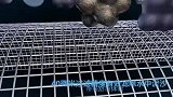 家里净水器不知该怎么选？本期视频手把手教你！干货多多记得收藏