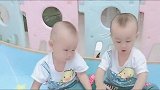 龙凤胎兄妹抢战大战，每天为了抢东西至少要打十次架，厉害了