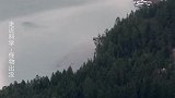 喀纳斯湖水怪之谜：凶猛的哲罗鲑鱼，正是湖中的那条怪物！
