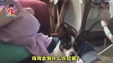 宝宝躺狗狗身上突然放了个屁，接下来狗狗的反应，爸妈都笑喷了