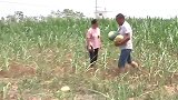 河南“瓜农抓贼倒赔三百”续：偷瓜贼被行拘3日 涉事民警停职