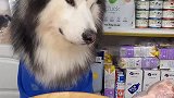吃完这顿没下顿