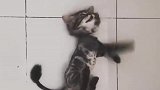 小猫：主人快来救我，我做噩梦了！
