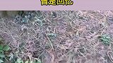 目光所及，皆是回忆！