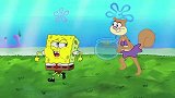 海绵宝宝说珊迪长得像猫，这可碰到了珊迪的痛处了