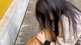 一只非常有心机的小猫咪