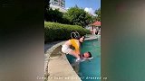 搞笑视频：夏天是真好，难怪那么多人喜欢夏天
