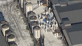 33万只鸡将被扑杀！日本香川县养鸡场出现高致病性禽流感