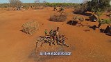 此国欠中国3000亿，穷得只剩下美女，还债方式让人哭笑不得