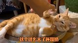 为了不让猫咪出门，我给它好好讲道理