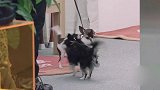 李汶翰暴露直男审美！小姐姐从来没有穿过这种款式！