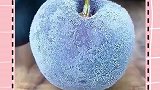 家里冰箱清理前看看这几个小妙招