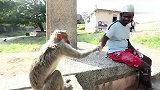 旅游-印度现实版蜘蛛人