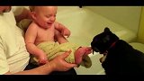 小宝宝刚洗完澡猫就来，宝宝痒的立马大笑不止求放过！