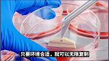 海拉虽然走了，但她的细胞却为科学界无偿奉献70年，已繁殖18000代，总量超5000万吨遇见咸阳 爱咸阳