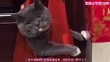 爆笑：隔壁的热心老王，二话不说就把我挂在门把上！