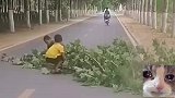 哥哥带弟弟一起，挪开挡道的树枝