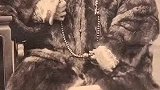 山东人忠孝仁义