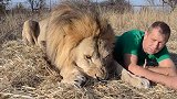 “大猫”抱住饲养员大腿，本以为是寻求安慰，谁知大猫失控了！