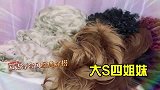 大凶阿雅承认自己眼光差很难吗！怎料阿雅回怼一句，太意外了