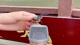 农村小姐姐太会玩了，竟然用“蝉”对着话筒叫，“水柱”立马高升