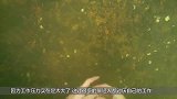 农村小伙水下寻宝，发现一个神秘洞穴，进去一看激动不已
