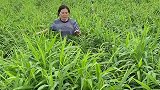 冬吃萝卜夏吃姜，不劳医生开药方